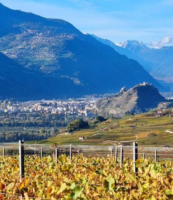 Апартаменты Vitis-Au Coeur Du Vignoble Valaisan Saint-Leonard Экстерьер фото